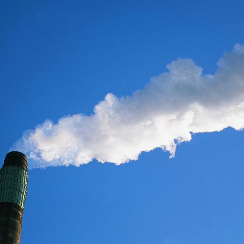 What are climate change and global warming? | WWF