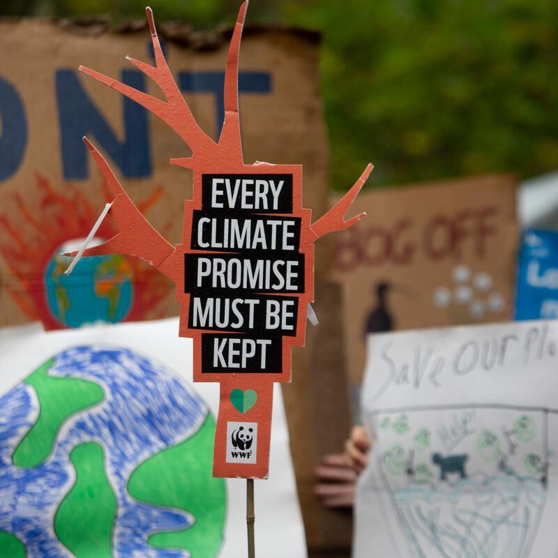 Climate change | WWF