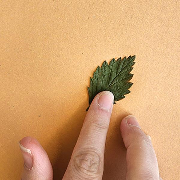 GW Leaf printing step 3