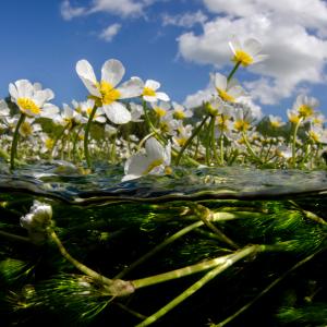 Spilt level landscape of the River Itchen, UK