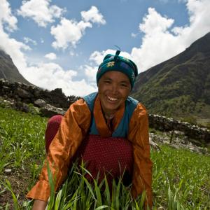 A local Tamang woman working in a field