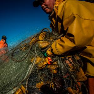 Crew on a fishing boat