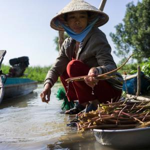 Vietnamese woman cleaning vegetables and aquatic plants