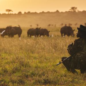 Nairobi National Park, Kenya.