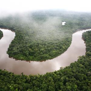 The Ganges Wwf