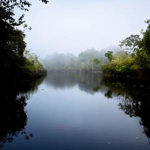 Body of water at the Pacaya Samira Reserve in the Peruvian Amazon.