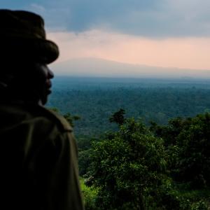 View from Rumangabo over the Volcano section of Virunga National Park, Democratic Republic of the Congo.