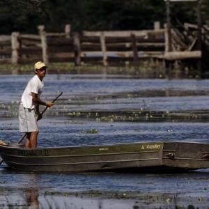 Boy in flat boat , People living in a wetland Mato Grosso , Pantanal, Brazil
