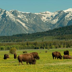 The Grand Teton mountain range