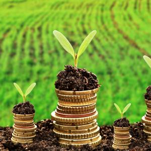 Currency and money in soil with young plant seedlings representing sustainable develepment