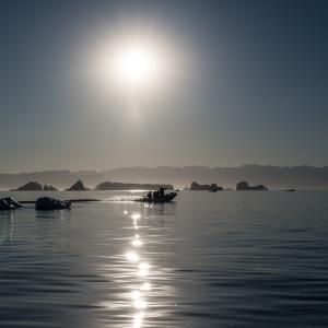 Speedboat in amongst icebergs in the Arctic