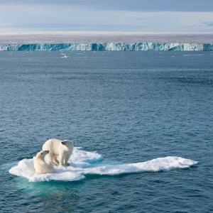 Two polar bears on a ice of ice in the Artic Ocean, Svalbard © Florian Schulz / visionsofthewild.com
