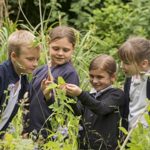 Children outdoors 