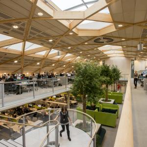 WWF UK Office Space