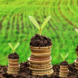 Currency and money in soil with young plant seedlings representing sustainable develepment, finance, economic investment, and finacial growth for the future.