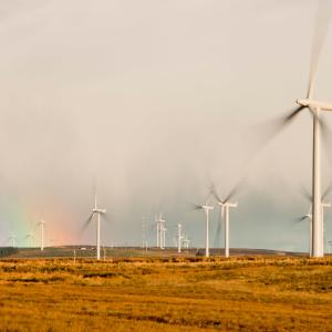 A rainbow over Whitlee wind farm