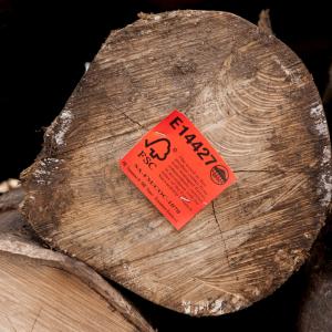 Harvested logs from Kolombangara Forest Products Limited a certified FSC Forest Stewardship Council timber plantation.