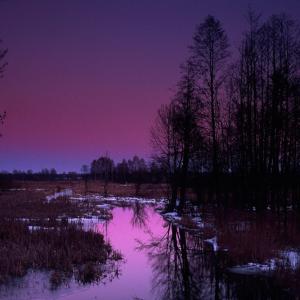 Narewka River in the morning fog, in winter, Bialowieza National Park - © Sanchez & Lope / WWF