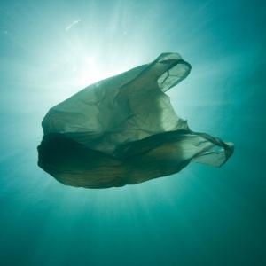 Plastic bag in sea