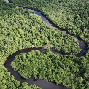 Aerial shot of the Amazon