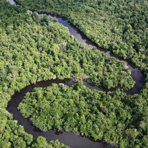 Aerial shot of the Amazon