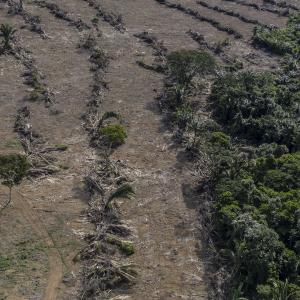 Deforestation next to a soybean plantation along the BR-364 highway near the Jamari River, Rondônia.