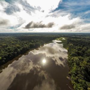 Tambopata River, Peru.