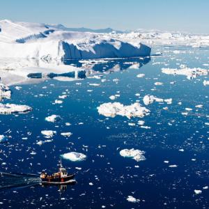 a fishing vessel attracts seabirds against a background of icebergs near Ilulissat, Greenland