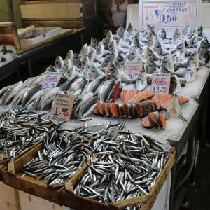 Fish Stall Athens