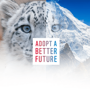 Adopt a better future