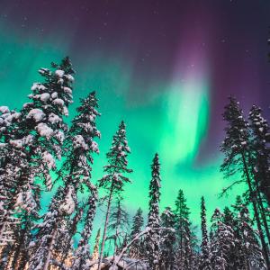 green vibrant Aurora Borealis, Aurora Polaris, also know as Northern Lights 