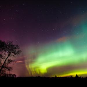 The Northern Lights