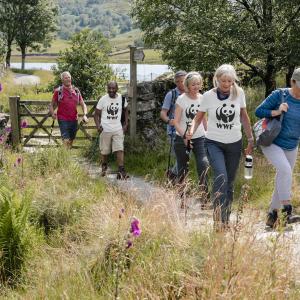 Group of people walking in nature for WWF Great Wild Walks