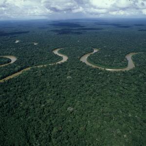 Meandering river Rio Pinquen, Amazon rainforest