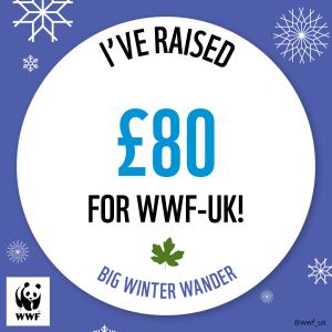 WWF The Big Winter Wander - £80 Raised Badge