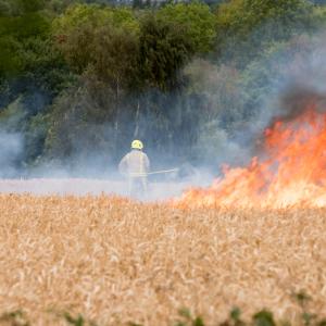 Firefighters working hard in unbearable temperature to save a burning cornfield field in Britain driest summer in years