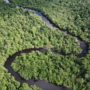 Aerial shot of the Amazon with a winding river, Loreto region, Peru.