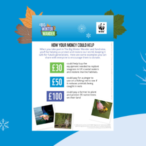 Big Winter Wander How Your Money Could Help Poster - what £30, £50 & £100 could support