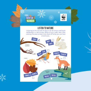 Big Winter Wander Listen to Nature Activity Sheet - what noises to listen out for for robins, foxes, leaves, rabbits