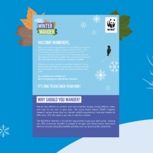 Big Winter Wander corporate toolkit header