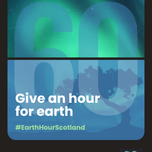 A black flip clock style border. Inside is a photo of a the northern lights and the silhouette of a tree. Text reads 'Give an hour for earth. #EarthHourScotland. 8.30pm 23rd March. www.wwf.org.uk/scotland/earthhour'. In the background is a large 60 overlay.