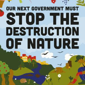 Stop the destruction of nature