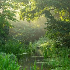 Early morning sunlight breaks through tree canopy on the river Nar, near Castle Acre, Norfolk, UK.