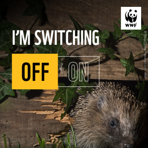 A hedgehog at night time peering through a hole in the base of a fence. Overlapping text reads, 'I'm switching off, #EarthHourScotland'