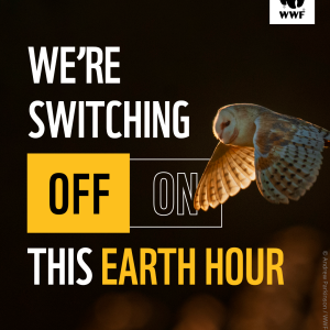 A barn owl in flight during dusk. Overlapping text reads, 'We're switching off, #EarthHourScotland'