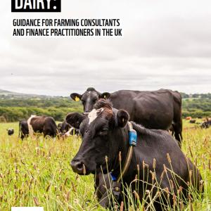 Cover image for the Guidance for farming consultants and finance practitioners report