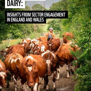 Cover image for 'Insights from sector engagement in England and Wales' report
