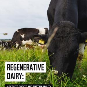 Cover image for 'A path to profit and sustainability' report