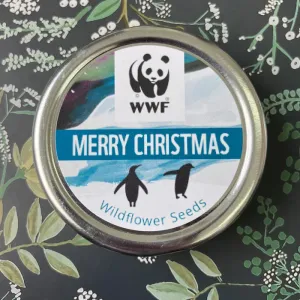 Limited Edition Christmas Seedball Wildflower Tin