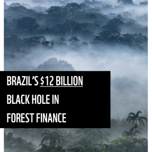 Brazils billion dollar black hole in forest finance cover